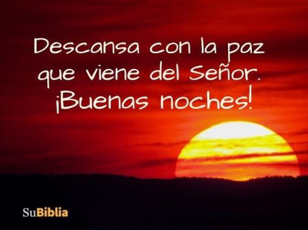 300 frases bonitas para desear buenas noches a tu familia Consejos:
